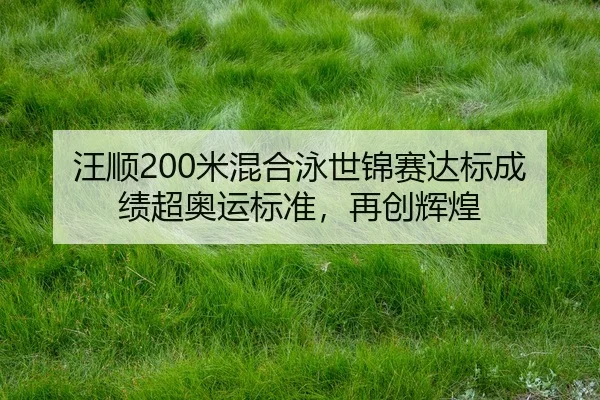 wang-shun-mi-hun-he-yong-shi-jin-sai-da-biao-cheng-ji-chao-ao-yun-biao-zhun-zai-chuang-hui-huang-2-349.jpg